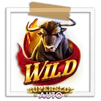 Wild-Bulls Run Wild