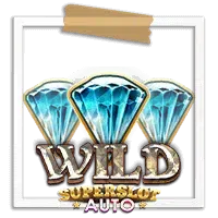 Wild-HarleCoin