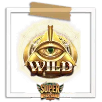 Wild- Zaida’s Fortune